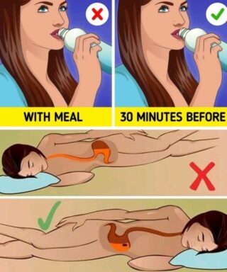 10 Habits That Help Your Gut ‘Self-Heal’ Without Strict Dieting