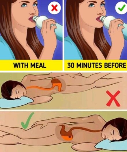 10 Habits That Help Your Gut ‘Self-Heal’ Without Strict Dieting