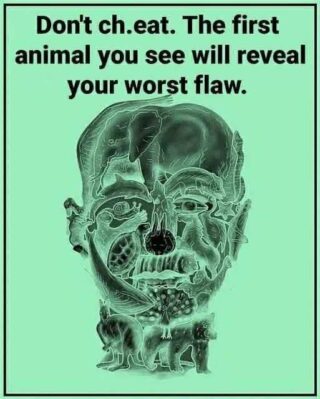 The Animal You See First Reveals Your Hidden Flaw: A Visual Personality Insight