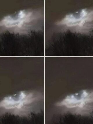 My brother took this photo about 13 miles from our house – any idea what it might be