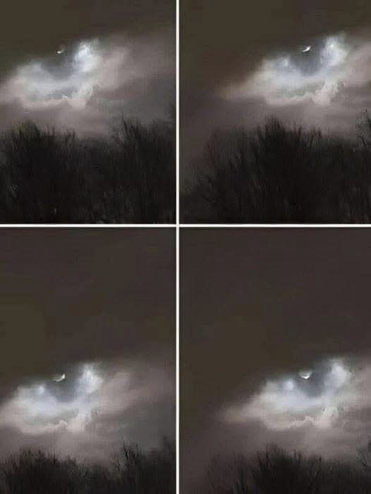 My brother took this photo about 13 miles from our house – any idea what it might be