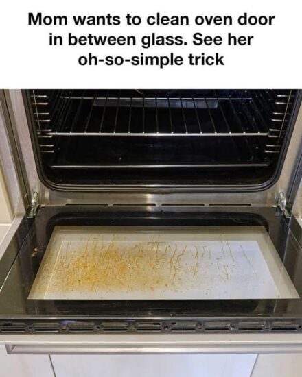 A Simple Trick to Clean Your Oven Door Glass