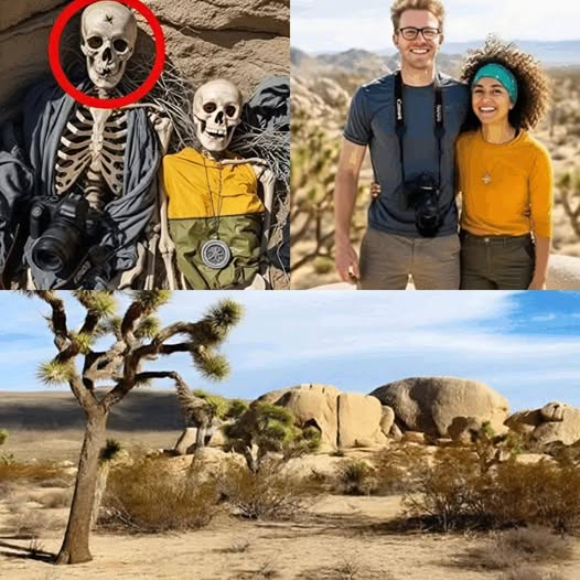 The Desert’s Silent Witness: Unearthed Secrets of Joshua Tree
