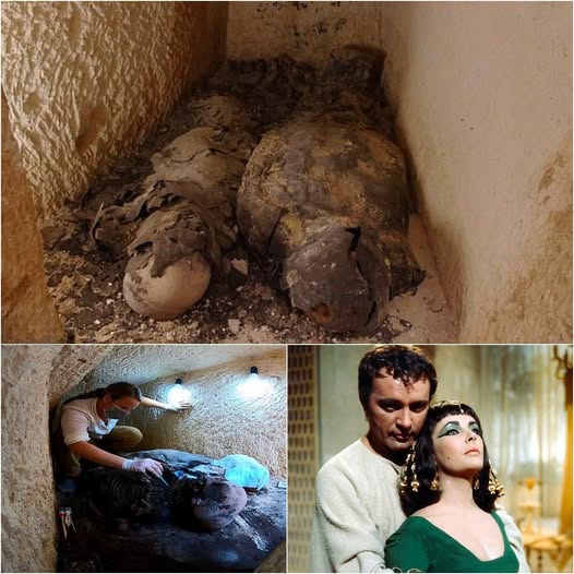 Secrets of the Nile: Ancient Mummies Discovered as Cleopatra’s Lost Tomb Remains Elusive