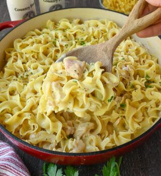 One Pot Chicken and Noodles Skillet