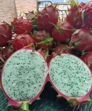 Doctor Reveals Eating Dragon Fruit Causes…