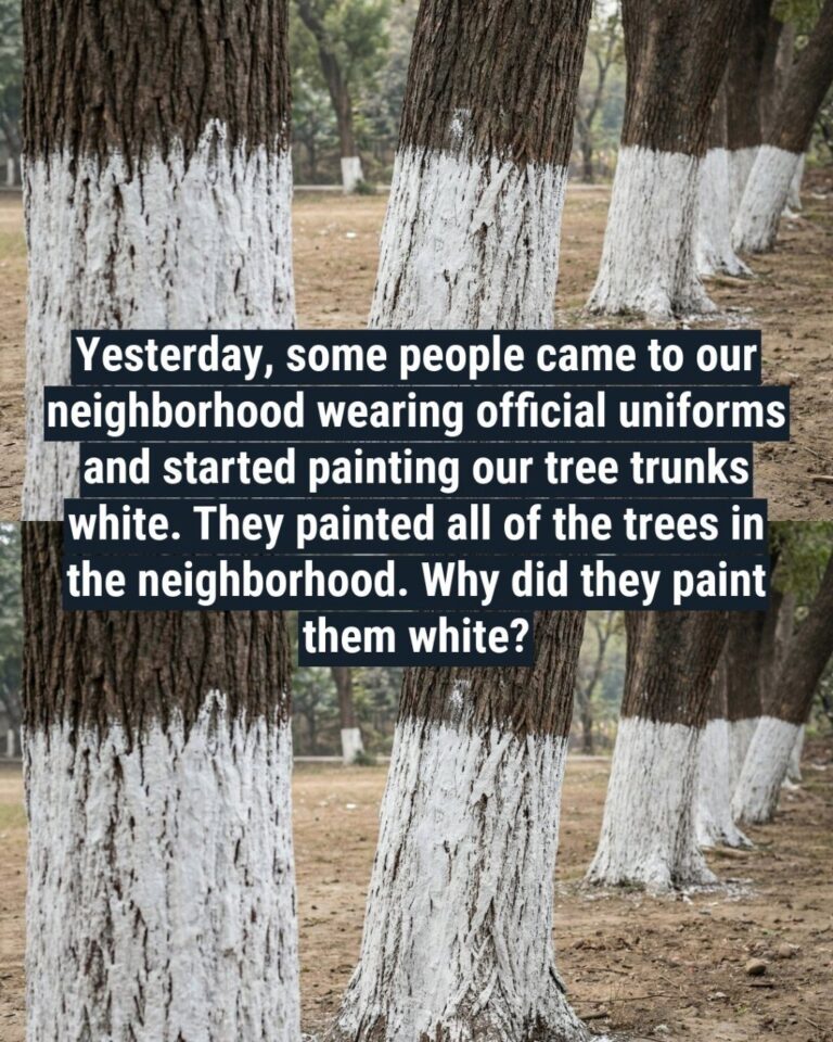 Why Are Some Trees Painted White? A Winter Secret, Revealed