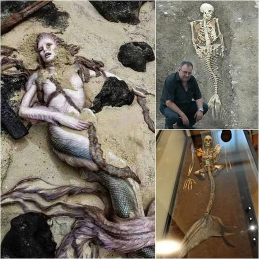 200-Year-Old Mermaid Discovered on English Coast: Myth Becomes Reality?