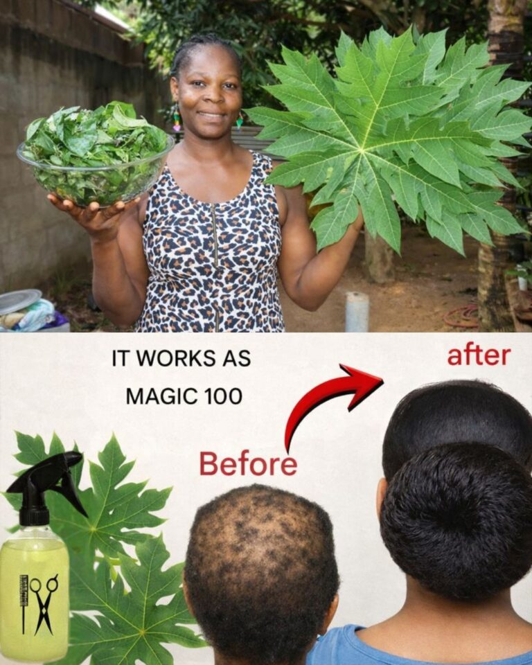 Papaya Leaves for Hair: A Natural Way to Support Healthier, Shinier Strands