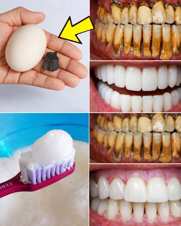 Discover the Kitchen Secret to Supporting a Naturally Brighter Smile: Eggshell Calcium’s Potential Boost