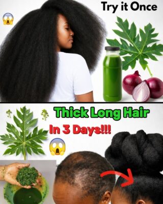 Could Crushed Papaya Leaves Help Support Healthier, Stronger Hair and Scalp?