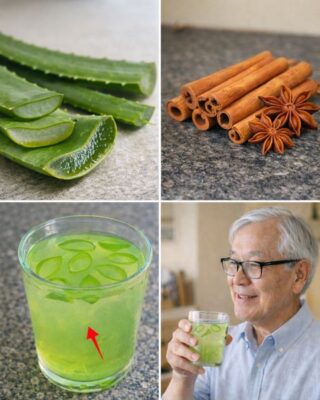 Aloe Vera and Cinnamon: A Natural Pairing People Turn to for Everyday Wellness and Eye Comfort