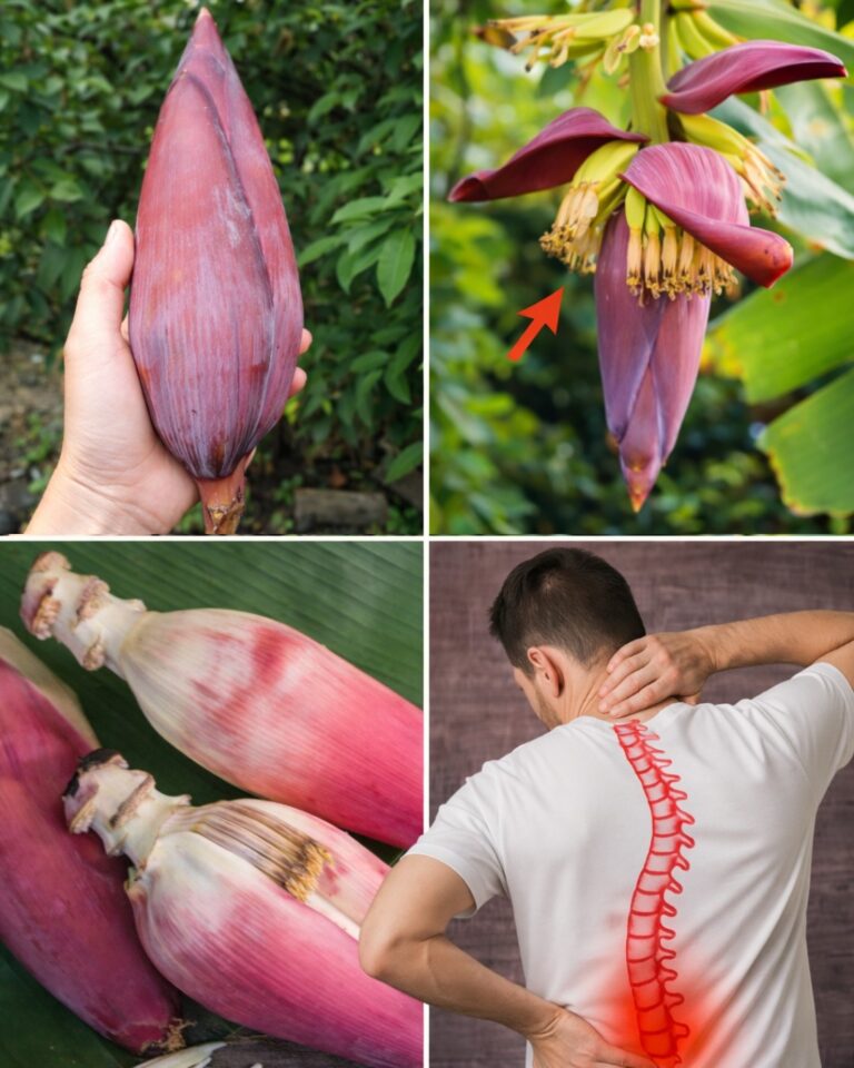 How Banana Blossom Can Boost Your Health: Nutritional Benefits and Delicious Recipes