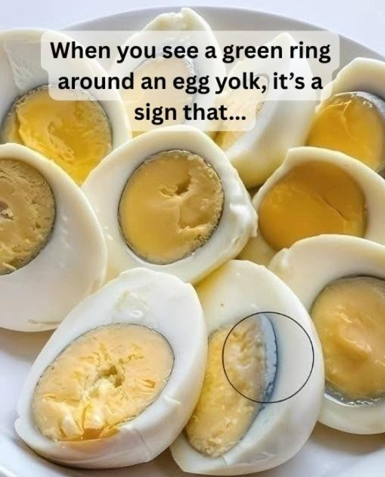 When you see a green ring around an egg yolk, it’s a sign that…👇👇 😱read is in the first comment⤵️