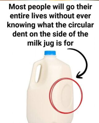 The Hidden Purpose of That Circular Dent on Milk Jugs – It’s Not What You Think!