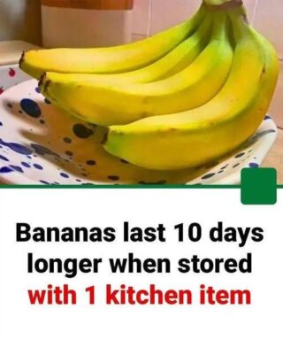 No more rotten and black bananas after a few days: with this method they will last 2 years