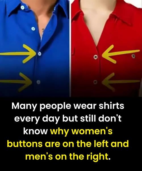 Why Women’s Shirts Fasten on the Left — and Men’s on the Right