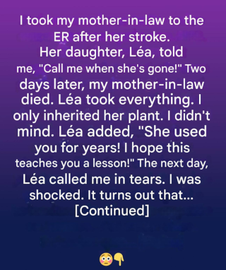 🌸 An Unexpected Heirloom: The Hidden Value of a Humble Flowerpot