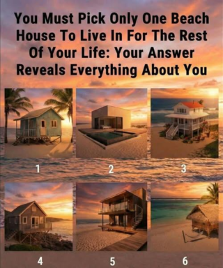 You Must Pick Only One Beach House to Live in for the Rest of Your Life