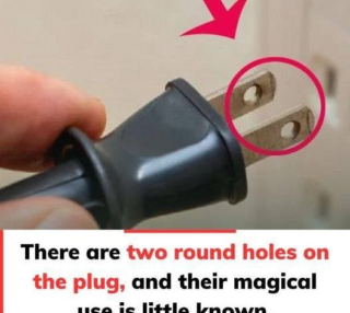 This Plug Has Two Round Holes—But Most People Don’t Know Their Clever Purpose