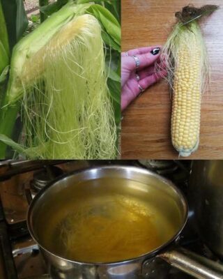 Benefits of drinking Corn silk