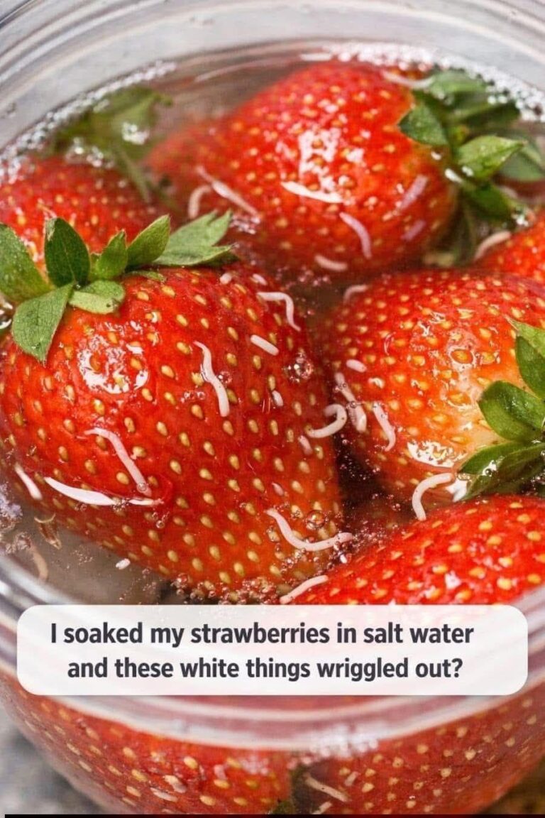 Why Tiny White Worms Come Out of Strawberries in Salt Water
