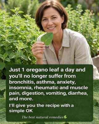 Oregano Leaf Remedy for Health