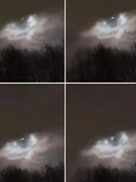 My brother took this photo just 21 km from our house: do you have any idea what it is?