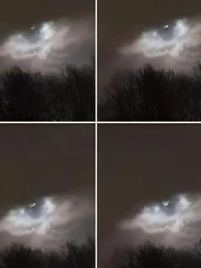 My brother took this photo just 21 km from our house: do you have any idea what it is?