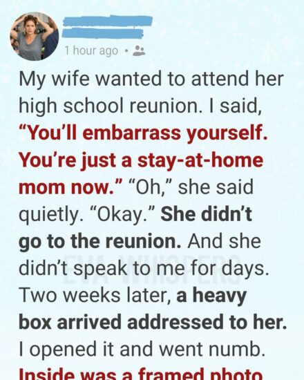 I Once Dismissed My Wife as “Just a Stay-at-Home Mom.” What I Learned Two Weeks Later Changed Everything