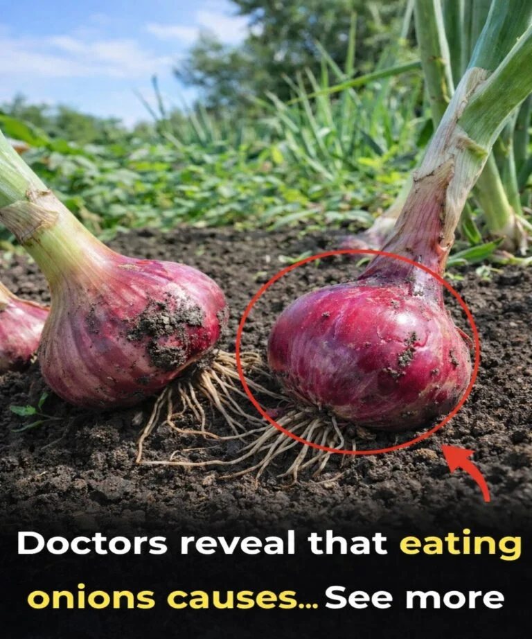 Doctors Reveal That Eating Onions Causes These Surprising Effects – Should You Worry?
