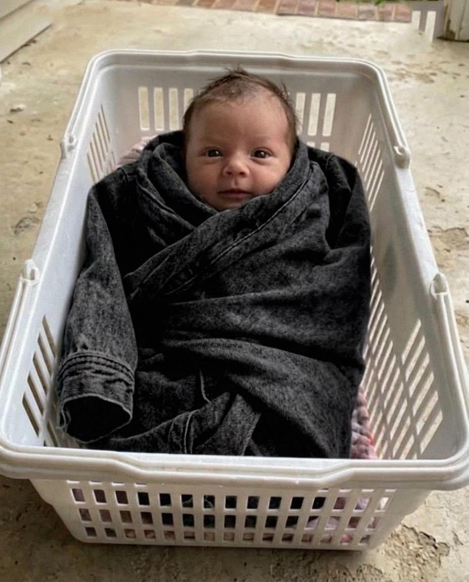 I Found a Baby Wrapped in My Missing Daughter’s Denim Jacket on My Porch – The Chilling Note I Pulled from the Pocket Made My Hands